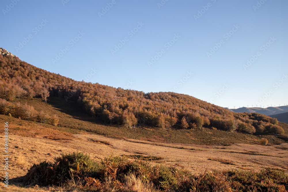 Magical forests in Northern Spain. Magical forests in Northern Spain.
