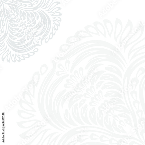 Vector elegant background with curves floral shapes