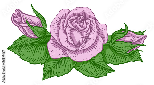 Rose Flower Design Woodcut ...