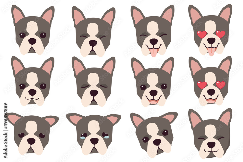 Set of Boston terrier dog emotions. Funny Smiling and angry, sad and delight dog. Face of dog cartoon emoji. Illustration about kawaii animal and pet in flat vector style. Set of Boston terrier dog emotions. Funny Smiling and angry, sad and delight dog. Face of dog cartoon emoji. Illustration about kawaii animal and pet in flat vector style.