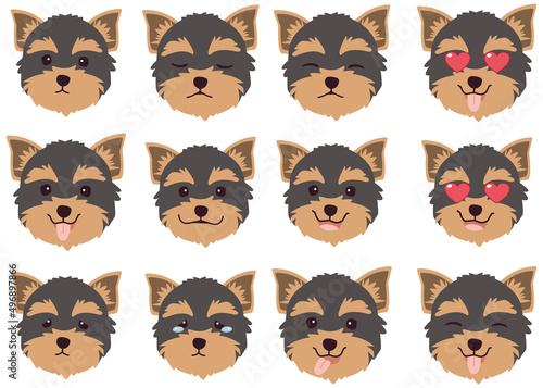Set of Yorkshire terrier dog emotions. Funny Smiling and angry, sad and delight dog. Face of dog cartoon emoji. Illustration about kawaii animal and pet in flat vector style.