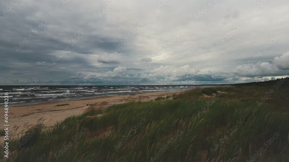 Waves crash into a storm on a sandy Baltic beach in Latvia. Beautiful clouds over the horizon of the Gulf of Riga in Lilasta. Branches of bushes and tall yellow grass sway on the branch in early Waves crash into a storm on a sandy Baltic beach in Latvia. Beautiful clouds over the horizon of the Gulf of Riga in Lilasta. Branches of bushes and tall yellow grass sway on the branch in early