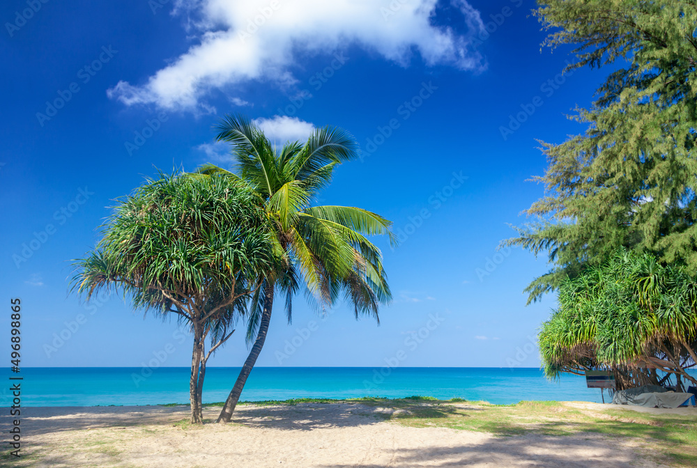 Fototapeta premium The Beach
