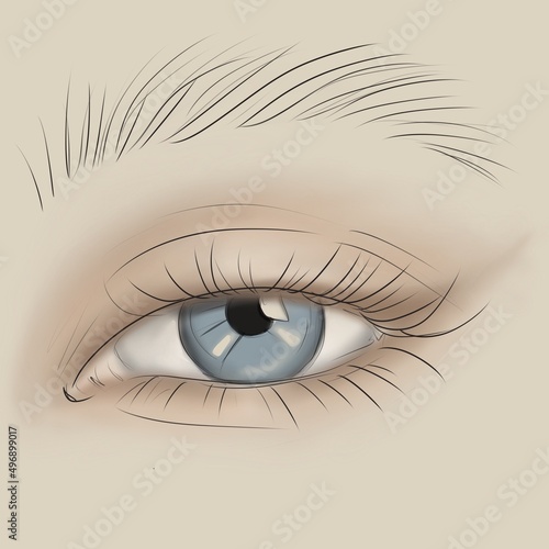 Hand-drawn woman's sexy luxurious eye with perfectly shaped eyebrows and full lashes. Perfect salon look.