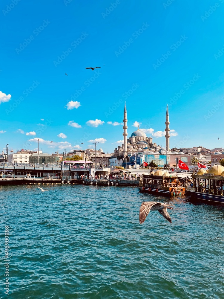 Naklejka premium Istanbul cruising 