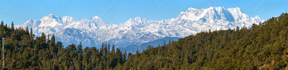 Mount Chaukhamba and woodland, Himalaya mountain