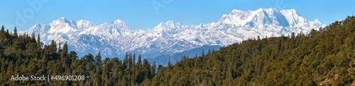 Mount Chaukhamba and woodland, Himalaya mountain