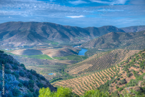 Sapinha viewpoint over river Douro in Portugal photo