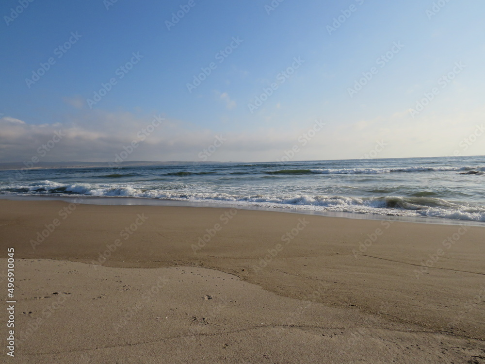 playa, aves, tranquilidad, paisaje, felicidad, mar, olas, arena