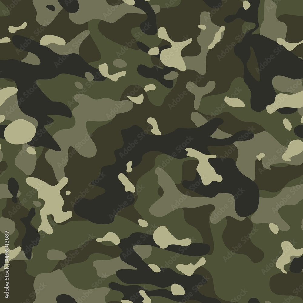 Vector camouflage background, military seamless texture, forest pattern for print.
Vector camouflage background, military seamless texture, forest pattern for print.