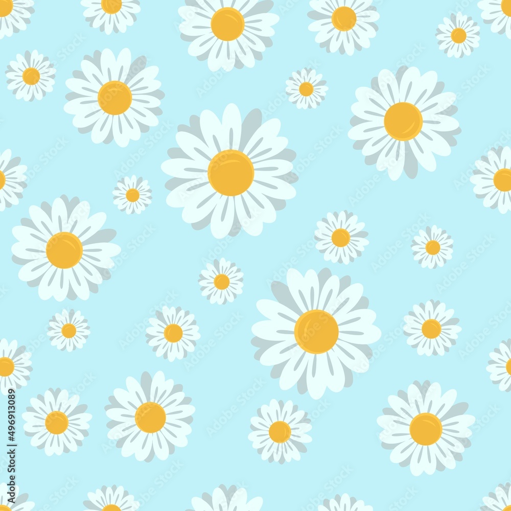 Chamomile flower seamless vector blue background. Chamomile flower seamless vector blue background.