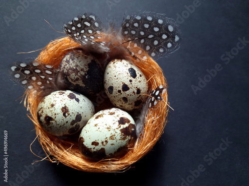 Easter quail eggs on a black background.