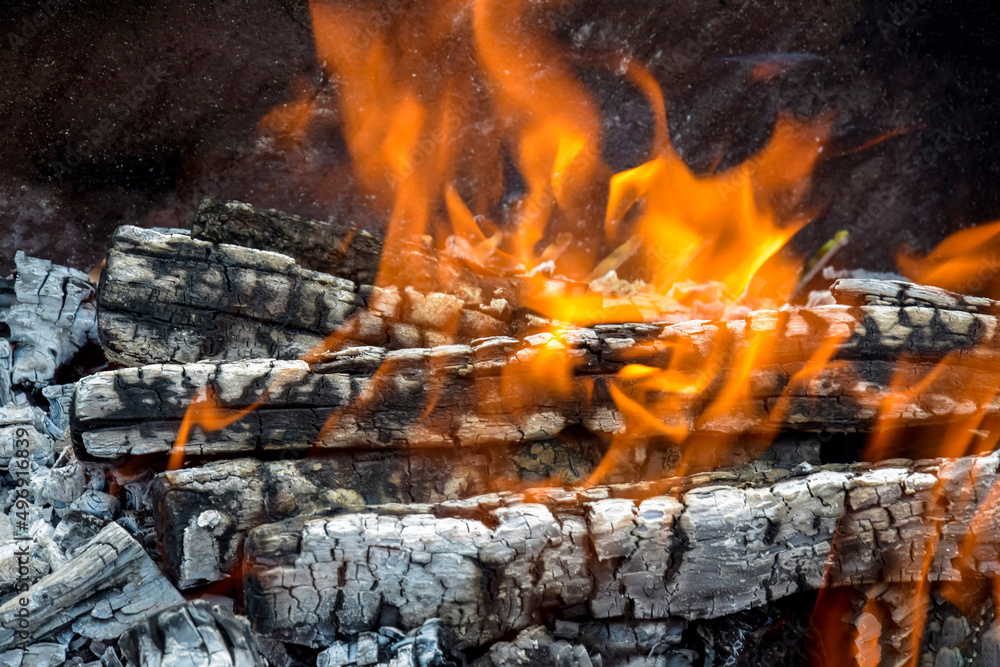 Big flame flutters in wind. Bonfire made of branches of fruit trees. Sawn apricot wood. Process of preparing coals for barbecue. Close-up. Selective focus.. Big flame flutters in wind. Bonfire made of branches of fruit trees. Sawn apricot wood. Process of preparing coals for barbecue. Close-up. Selective focus..