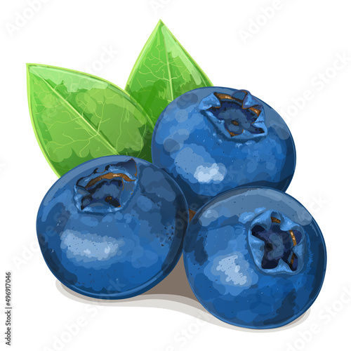 Three realistic blueberries with leaves isolated on white background. Vector Illustration.
