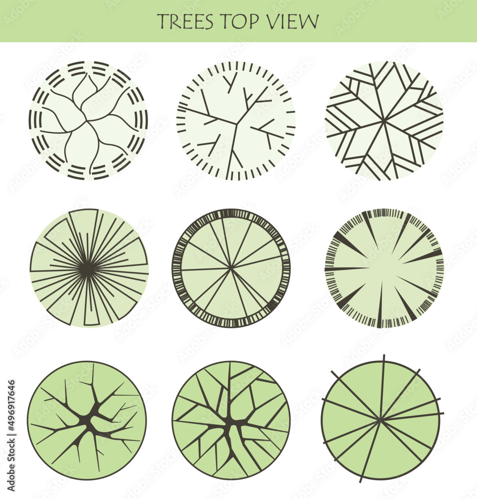 Set of vector trees. Entourage design. Various trees, bushes, and shrubs, top view for the landscape design plan. Vector illustration. Set of vector trees. Entourage design. Various trees, bushes, and shrubs, top view for the landscape design plan. Vector illustration.