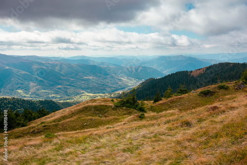 carpathian mountain landscape in early autumn. colorful scenery of mt. strymba, ukraine. svydovets ridge in the distance beneath a cloudy sky. popular travel destination