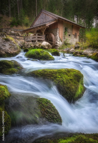 waterfall in the forest