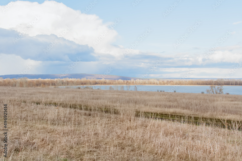 Scenic spring landscape with dry grass on field.
