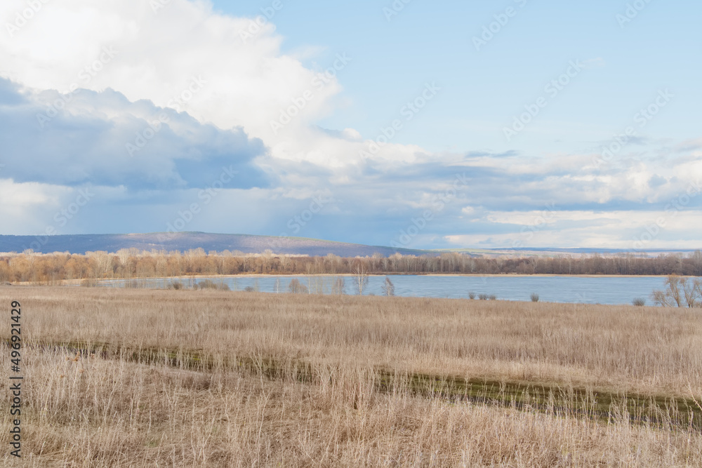 Scenic spring landscape with dry grass on field.
