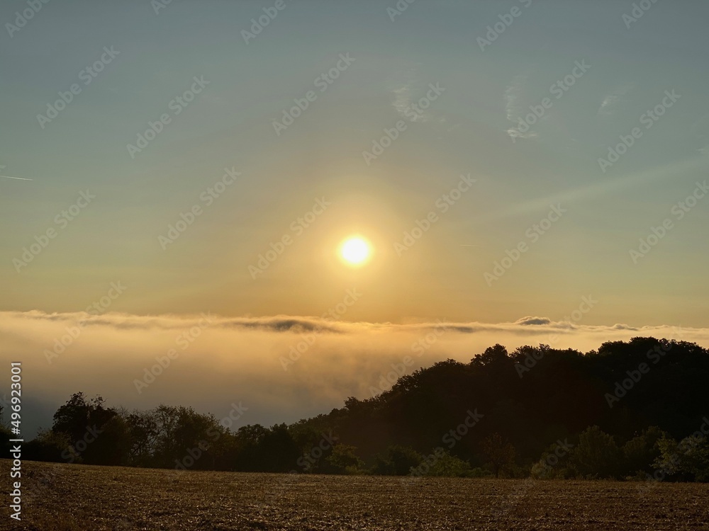 Sonnenaufgang über dem Rheintal im Nebel