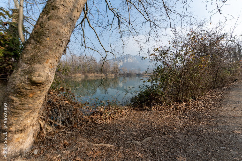 Torbiere, sebino, Iseo , lago, Brescia, Lombardia, verde, sentiri