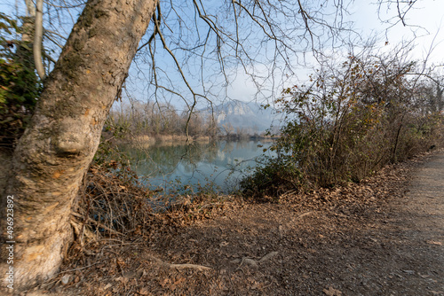 Torbiere, sebino, Iseo , lago, Brescia, Lombardia, verde, sentiri photo