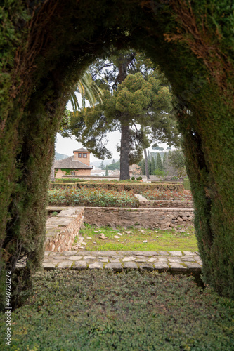 Mediterranean garden design with arches from trimmed thuja coniferus trees