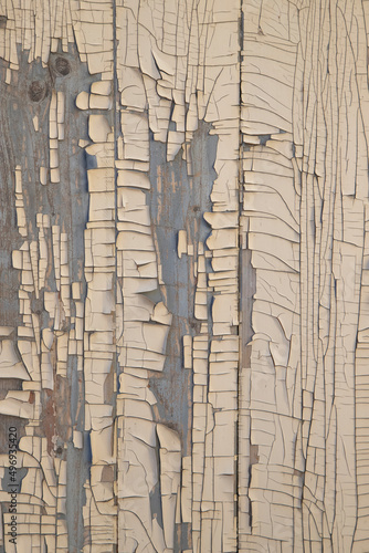 Old wooden background cracked white paint.