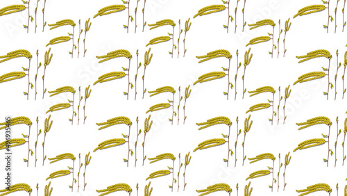 Pattern bloom buds of birch on a white background.