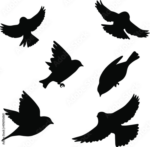 silhouette animal collection bird, cat and dove illustration vector