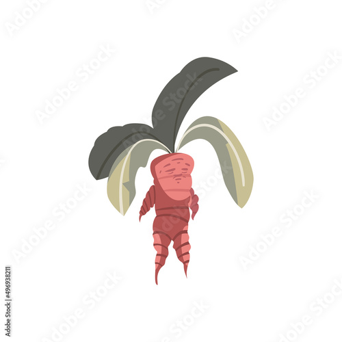 mandrake plant design