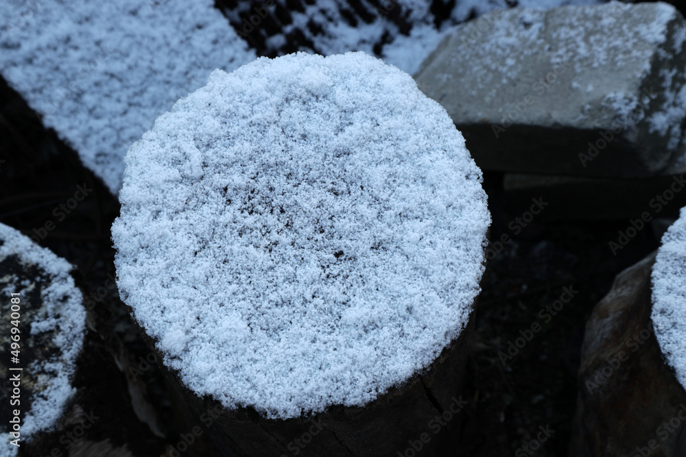 Fototapeta premium snow on a tree stump