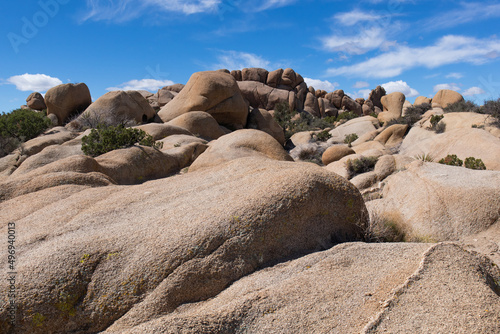 Lumps Jumbo Rocks - Joshua Tree, California - March 2022