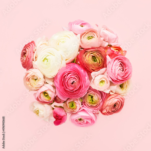 Bunch of pink ranunculus flowers on a pink background. Mothers Day, Valentines Day, birthday concept