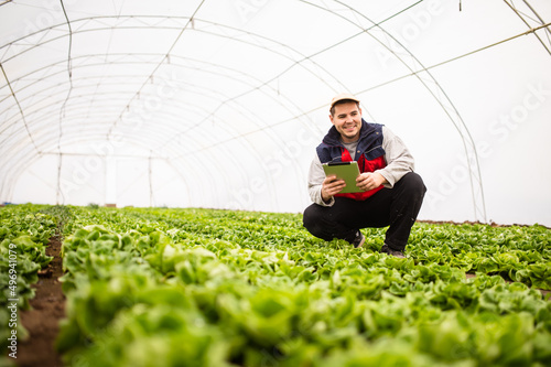 Modern technology in agriculture, lettuce greenhouse, young farmer