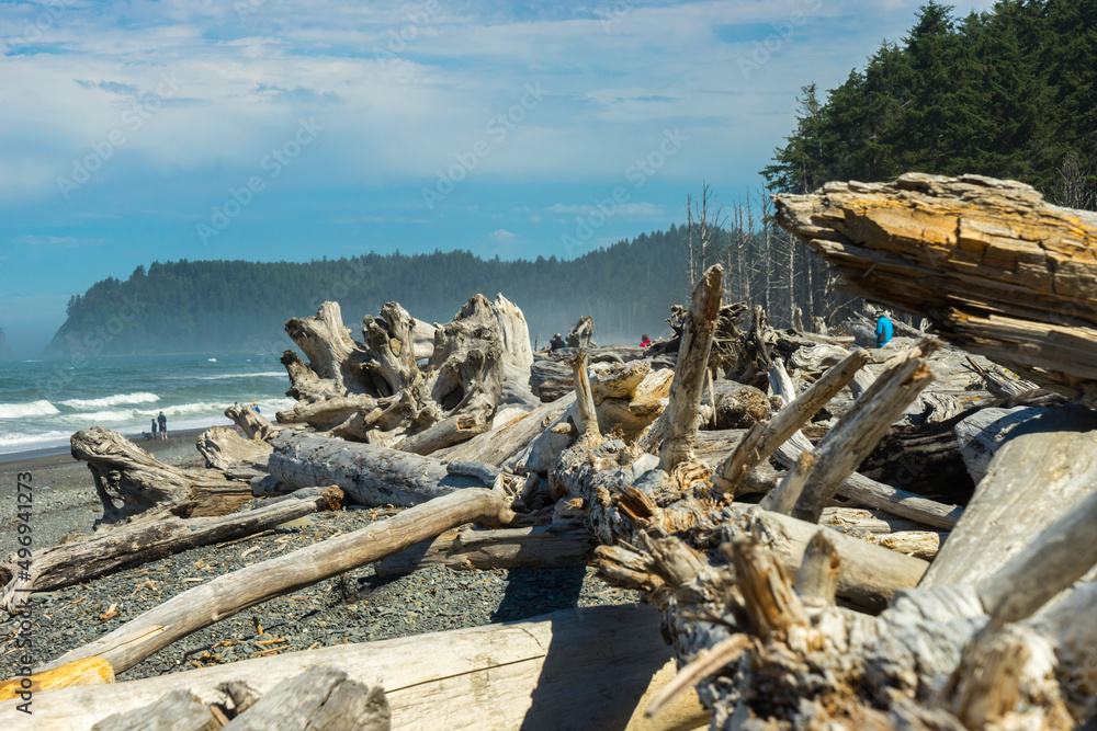 Olympic National Park Rialto Beach, Washington State Olympic National Park Rialto Beach, Washington State
