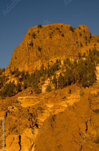 Rocky cliff and Canary Island pines. Vilaflor. Tenerife. Canary Islands. Spain.
