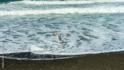 Olympic National Park Rialto Beach, Washington State	 photo