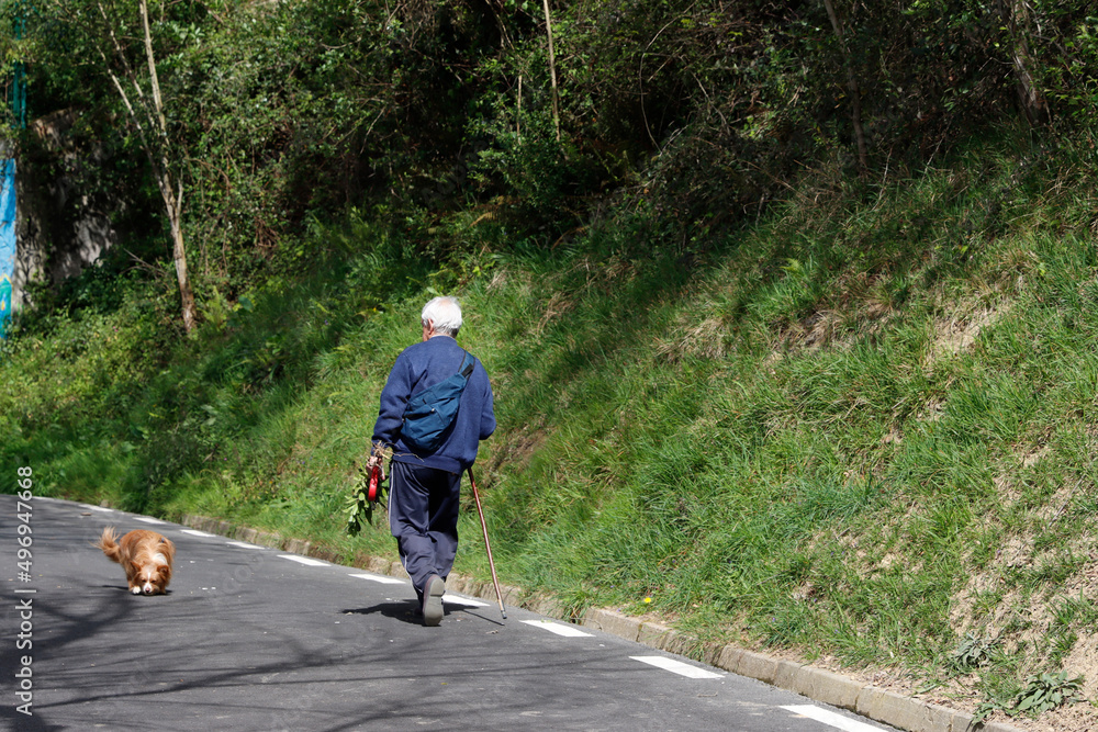 Man walking in the forest Man walking in the forest