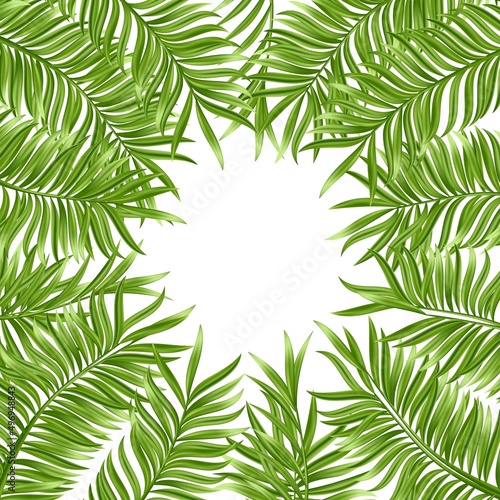 Tropical palm leaf isolated on white background. Realistic green summer plant. Vector illustration © whilerests