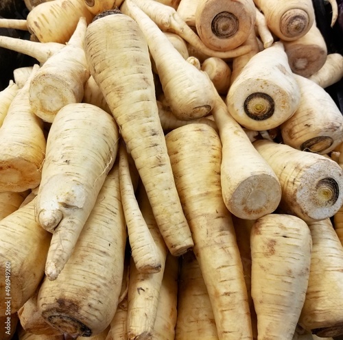 Pile of farm fresh parsnips ready for purchase. Root vegetable to be used in cooking or to eat raw. Apiaceae family. Long tapered taproot like that of a carrot. Antioxidant super food high in vitamins