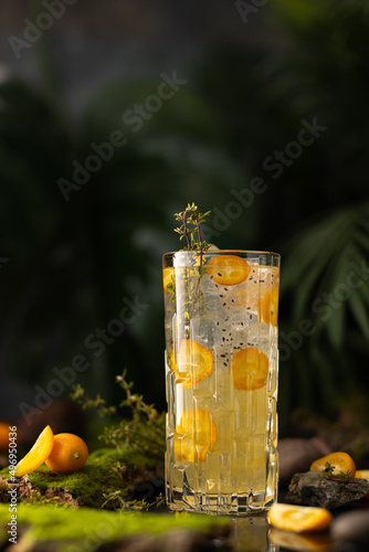 Refreshing cocktail with kumquat,thyme,orange juice,tonic water on natural background with palm leaves,moss and stones.