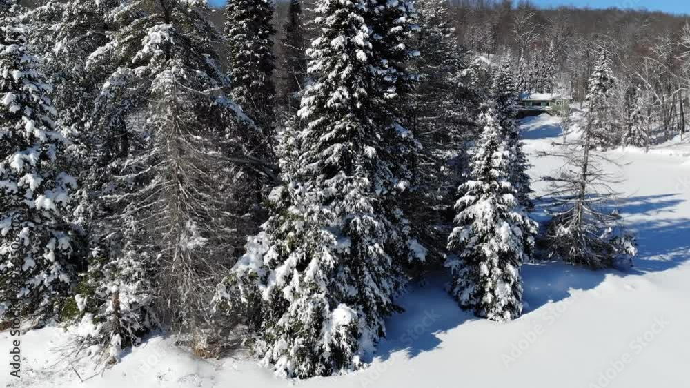 Frozen Lake in the Forest in Winter Aerial
Frozen Lake in the Forest in Winter Aerial