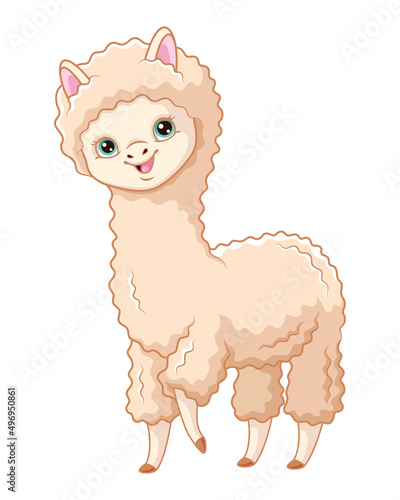 Cute llama cartoon vector illustration
