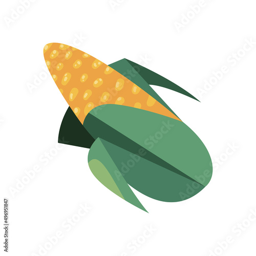 flat yellow corn illustration