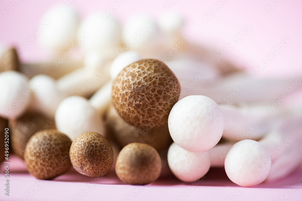 Fresh white and brown shimeji mushrooms. Close up, selective focus. Fresh white and brown shimeji mushrooms. Close up, selective focus.