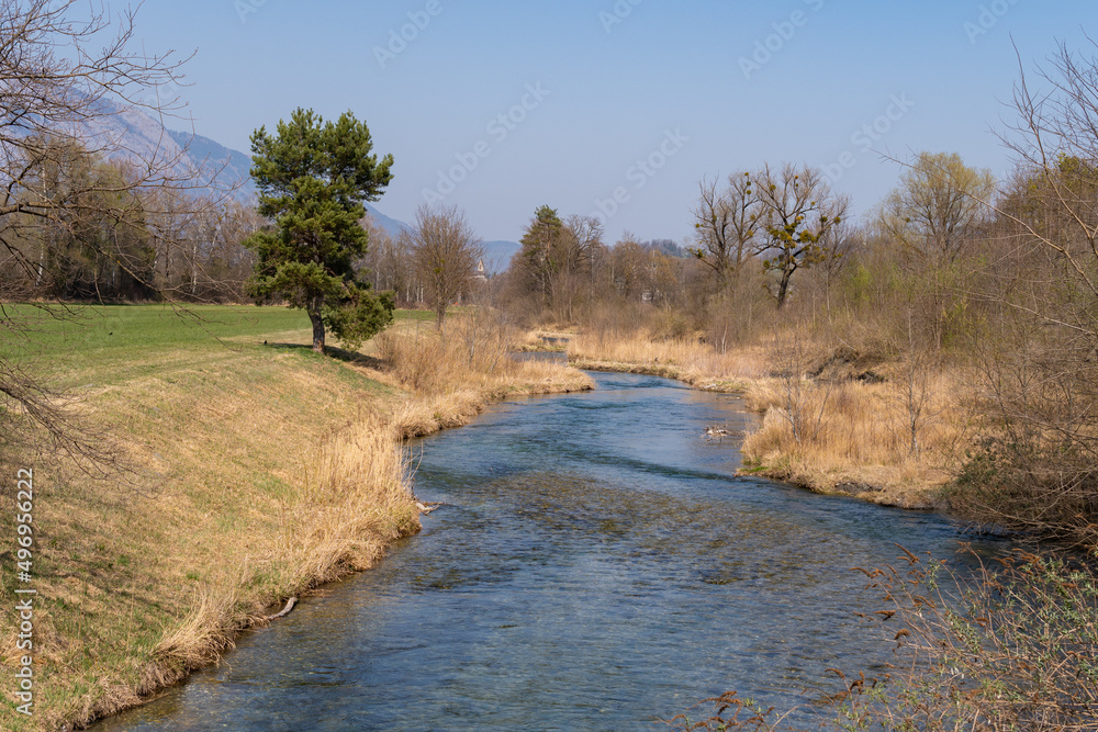 Small river flows through the nature in spring time in Bendern in Liechtenstein