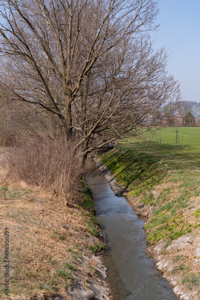 Small river in a natural area in Schaan in Liechtenstein Small river in a natural area in Schaan in Liechtenstein