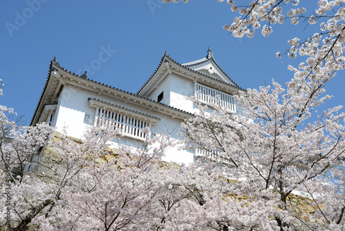 春の津山城 備中櫓 岡山県津山市