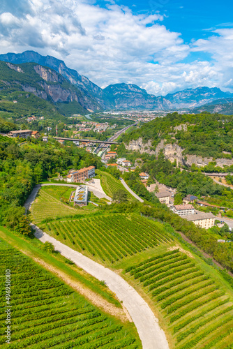 Vineyards near Trento in Italy